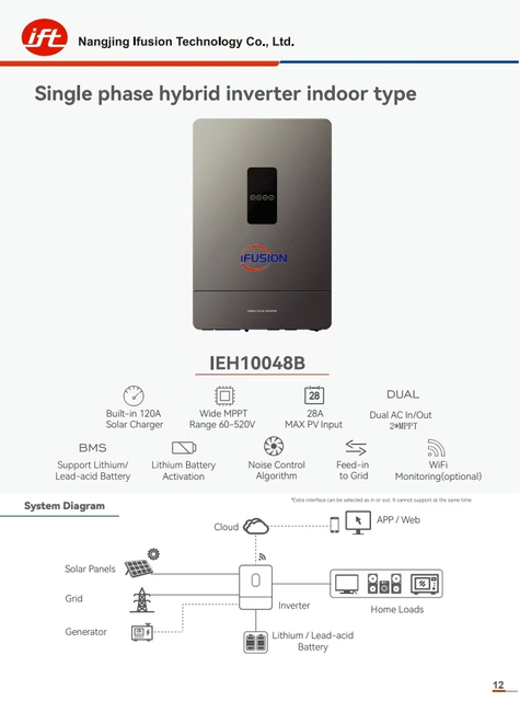 IEH10048B